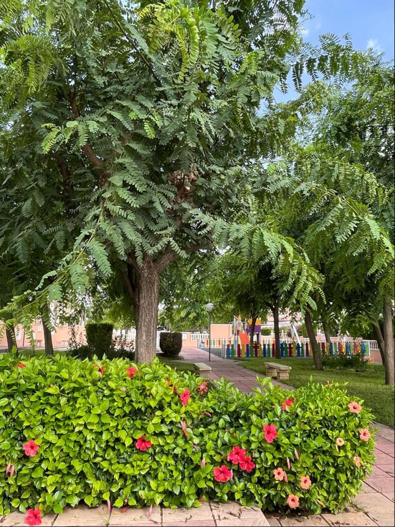 Gran Alicante Bungalow In Beach Resort Puerto Marino Екстериор снимка